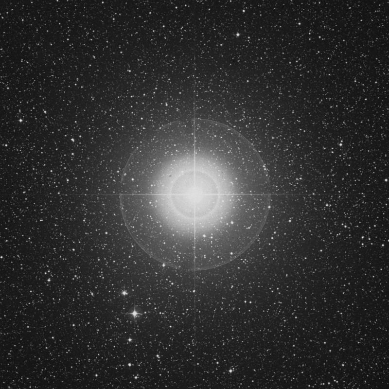 Image of Tarazed - γ Aquilae (gamma Aquilae) star