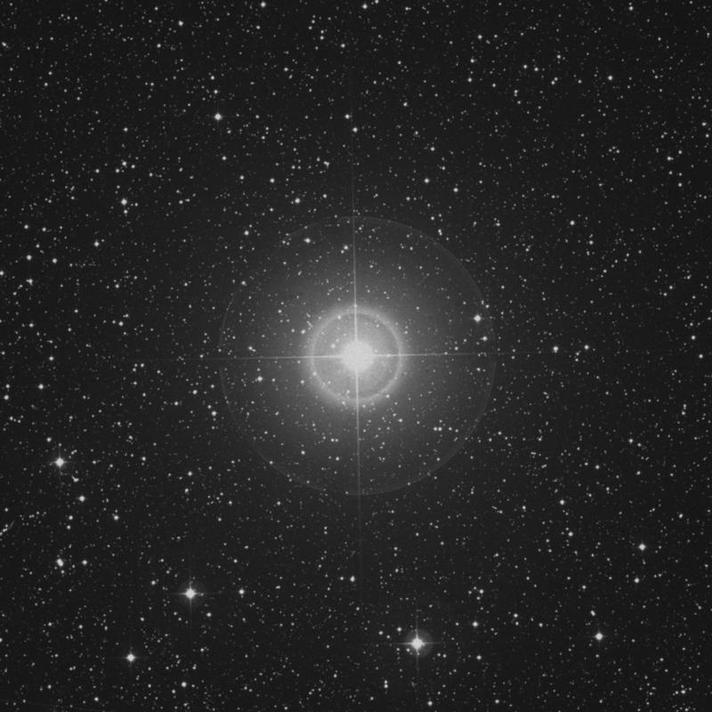 Image of Fawaris - δ Cygni (delta Cygni) star