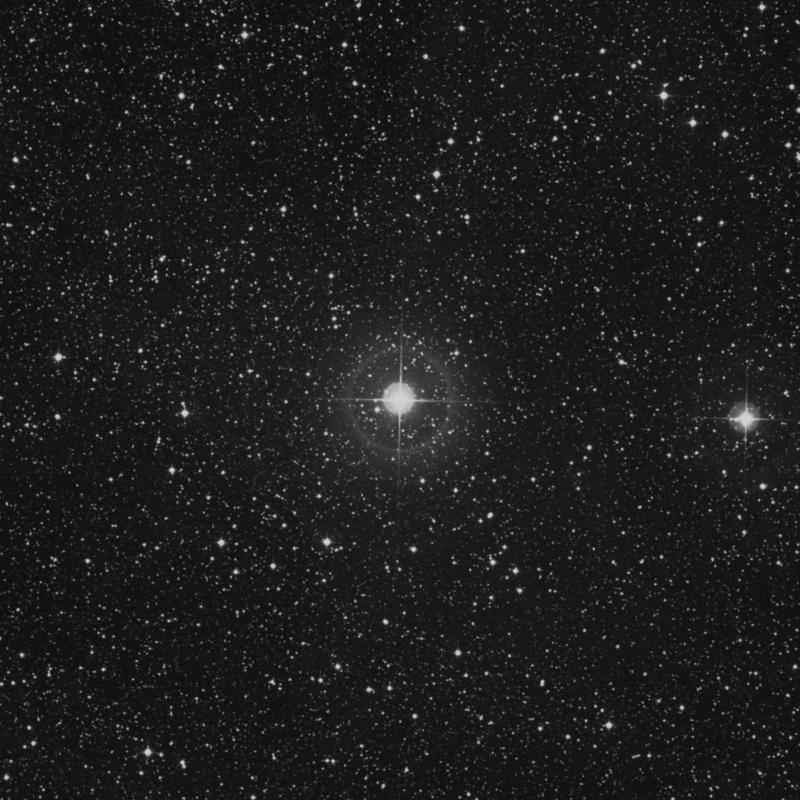 Image of 19 Cygni star