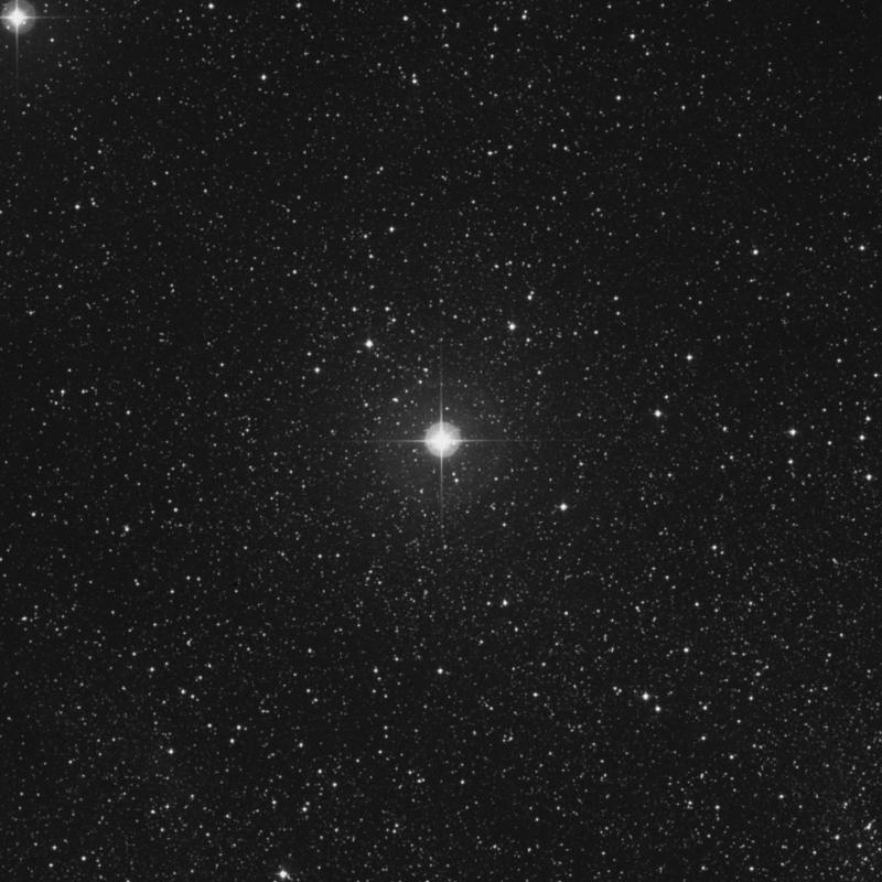 Image of 13 Vulpeculae star