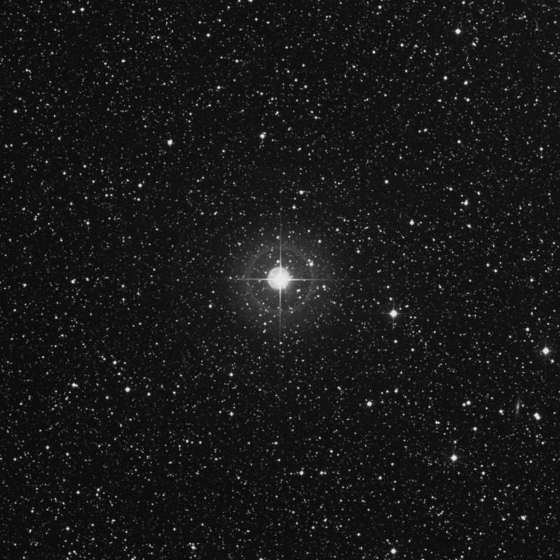 Image of Libertas - ξ Aquilae (xi Aquilae) star