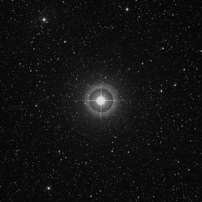 Image of Alshain - β Aquilae (beta Aquilae) star