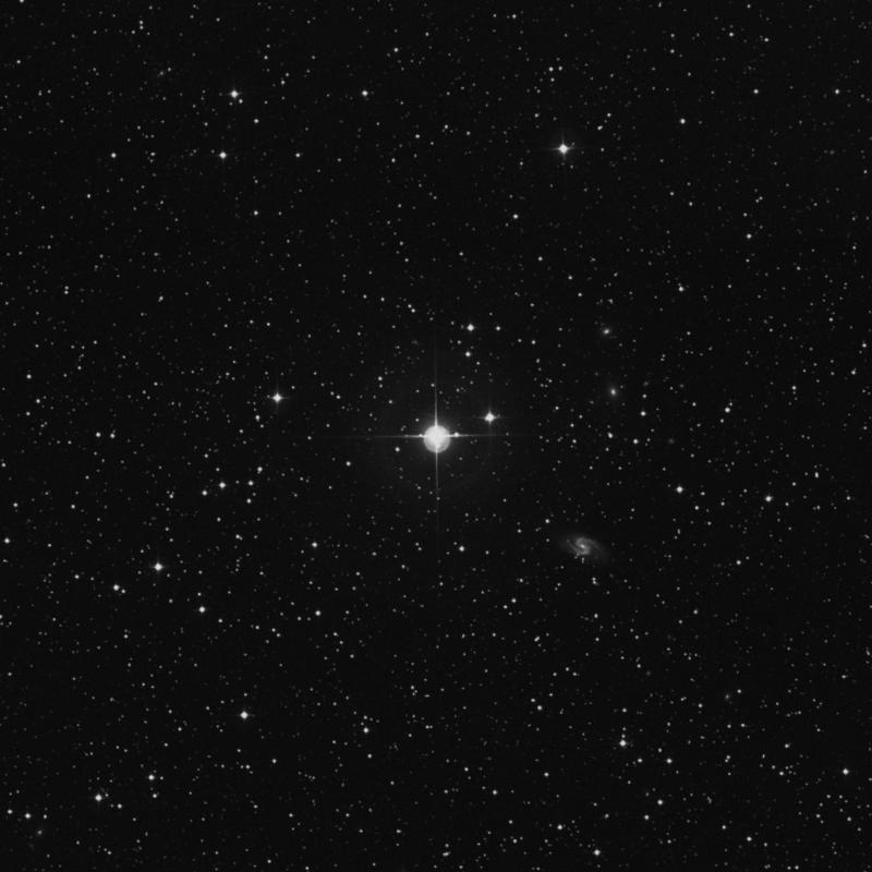 Image of 23 Cygni star