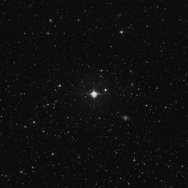 Image of 23 Cygni star