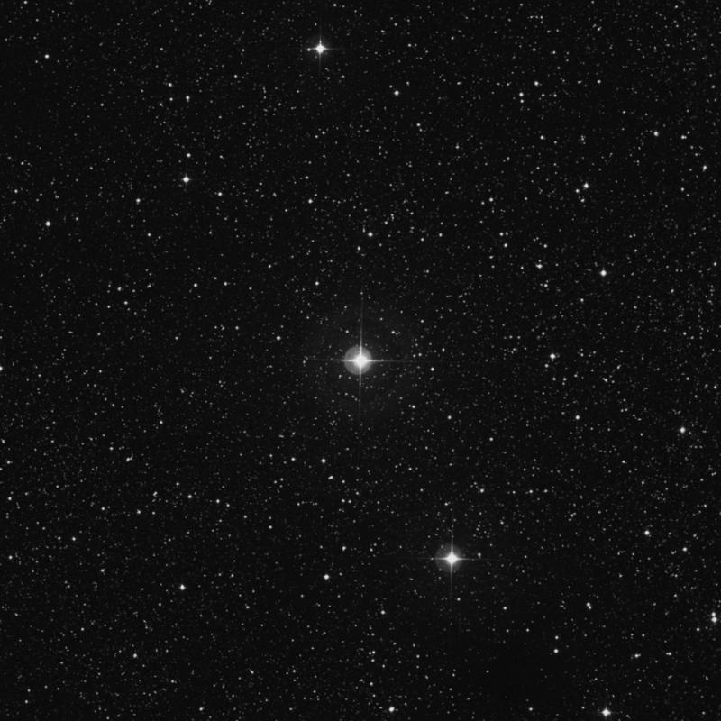 Image of 16 Vulpeculae star
