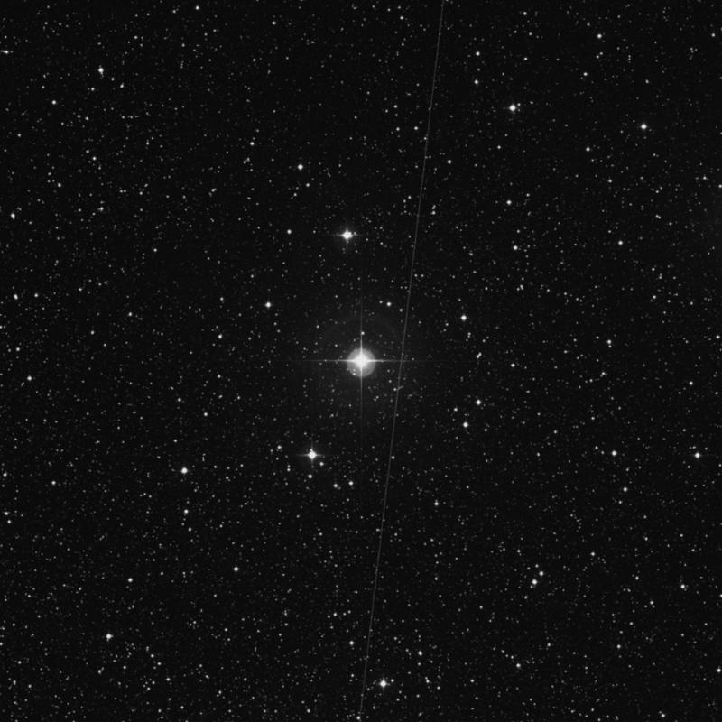 Image of 19 Vulpeculae star