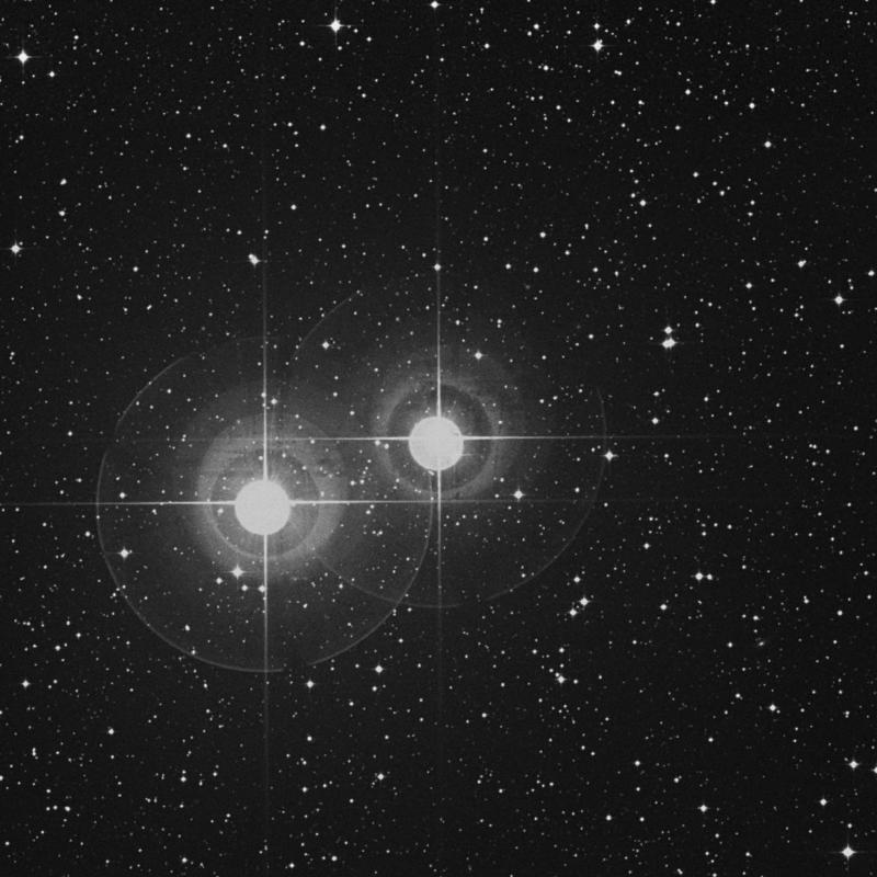 Image of α1 Capricorni (alpha1 Capricorni) star