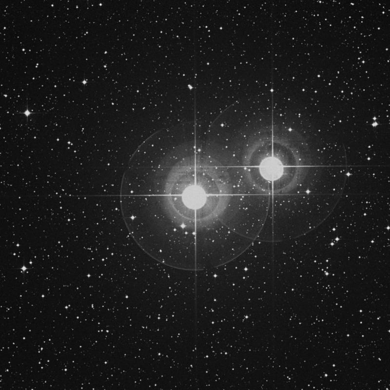 Image of Algedi - α2 Capricorni (alpha2 Capricorni) star