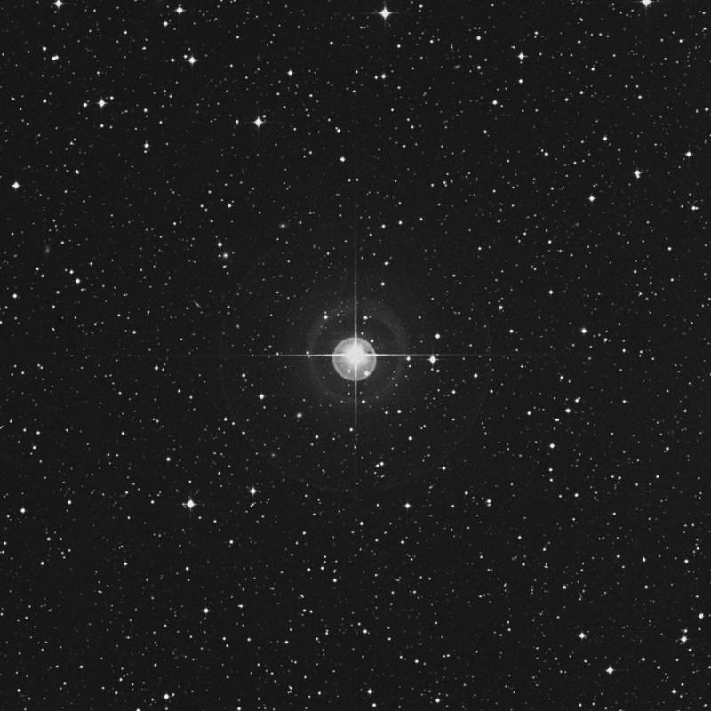 Image of Alshat - ν Capricorni (nu Capricorni) star