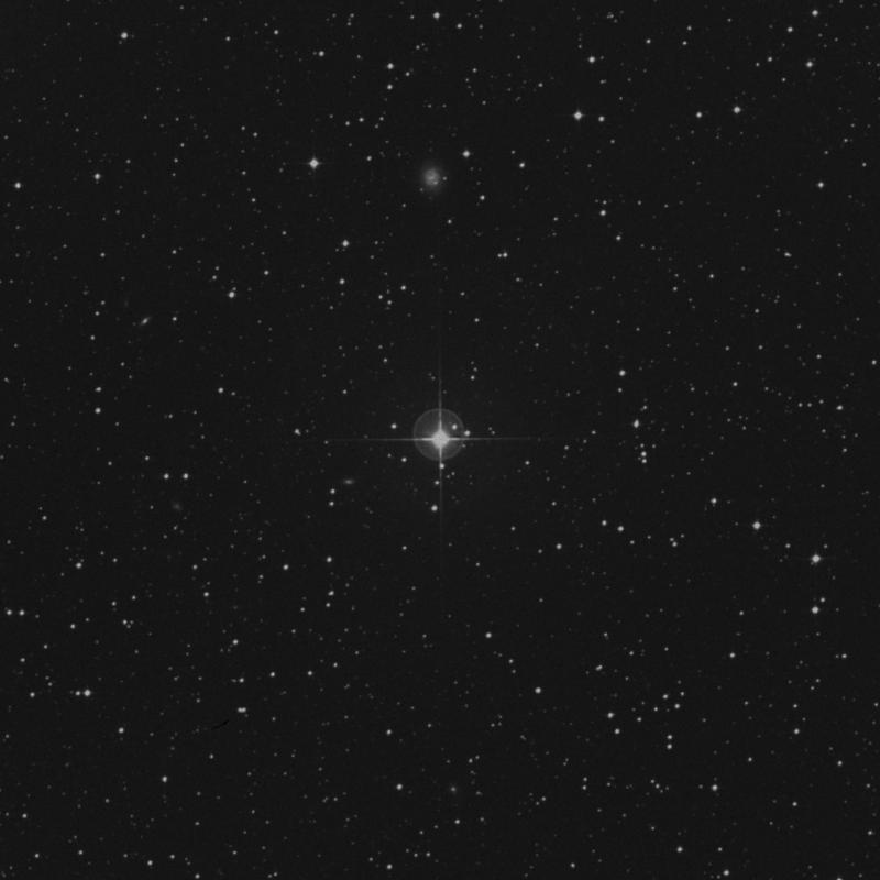 Image of κ1 Sagittarii (kappa1 Sagittarii) star