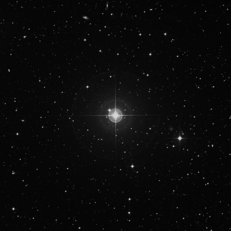 Image of ν Microscopii (nu Microscopii) star