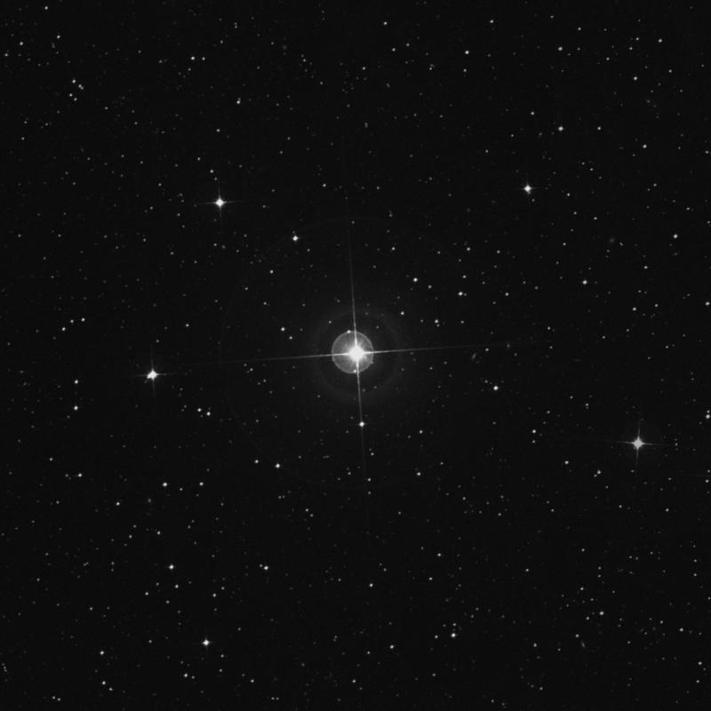 Image of φ2 Pavonis (phi2 Pavonis) star