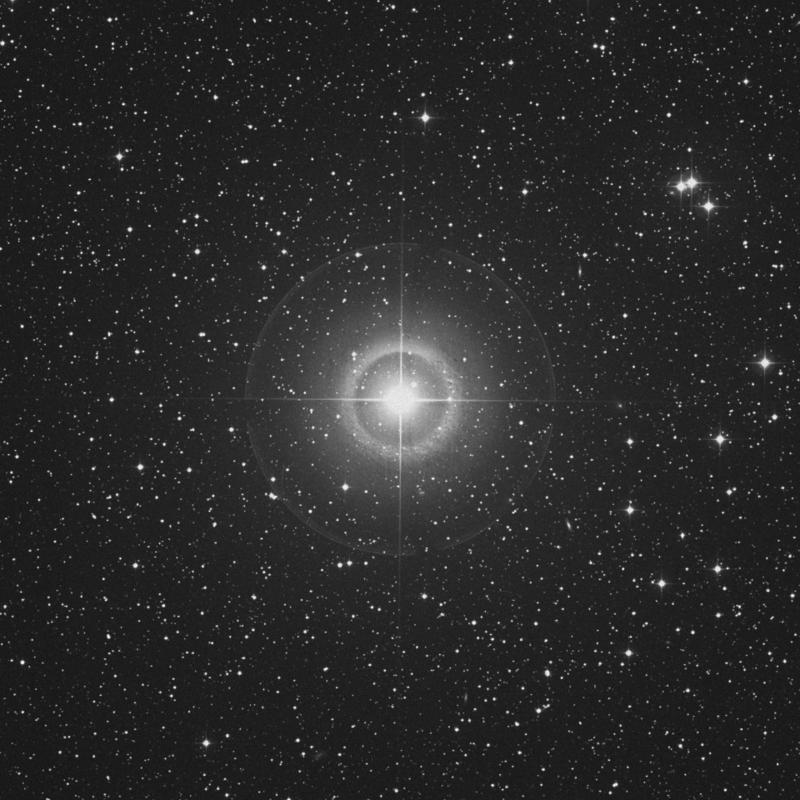 Image of Rotanev - β Delphini (beta Delphini) star