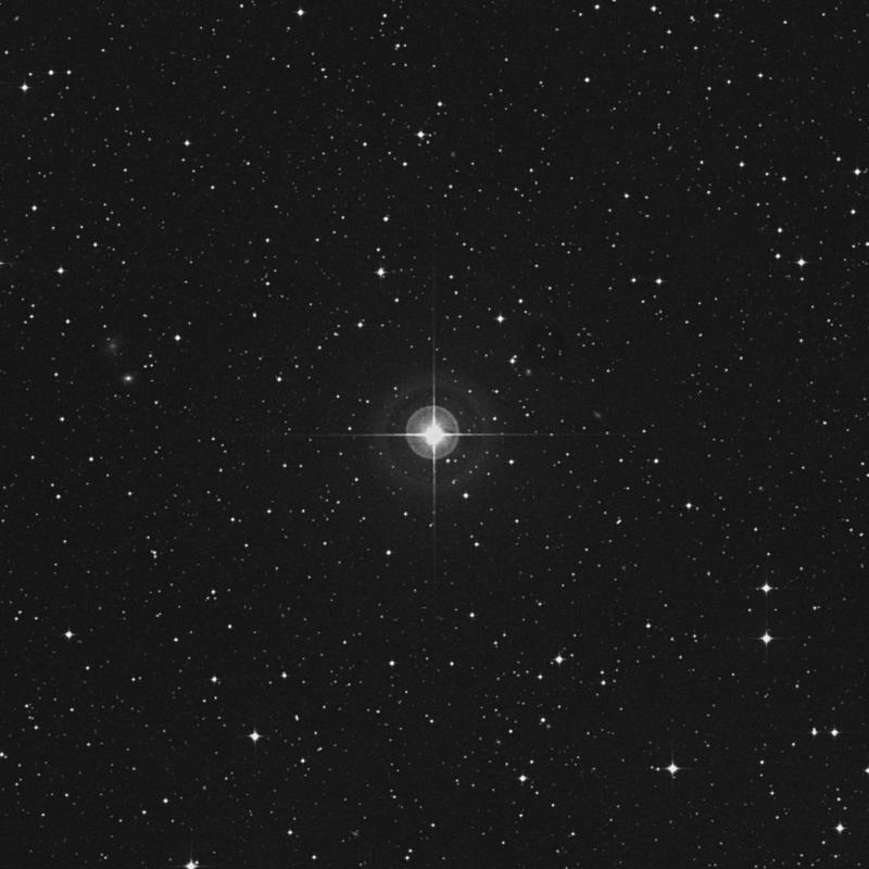 Image of HR7905 star