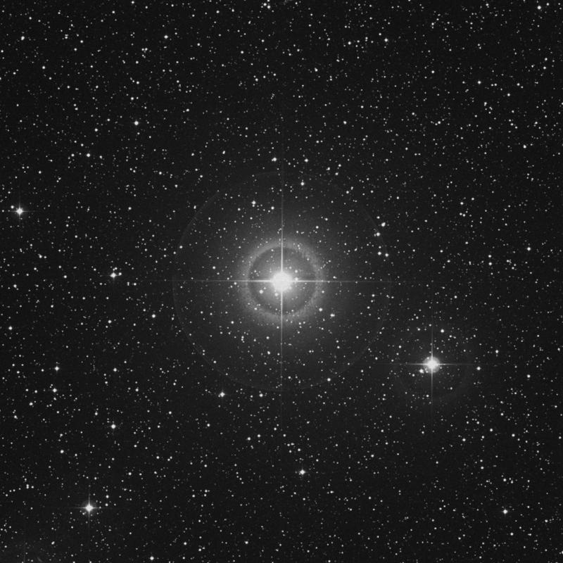Image of Sualocin - α Delphini (alpha Delphini) star