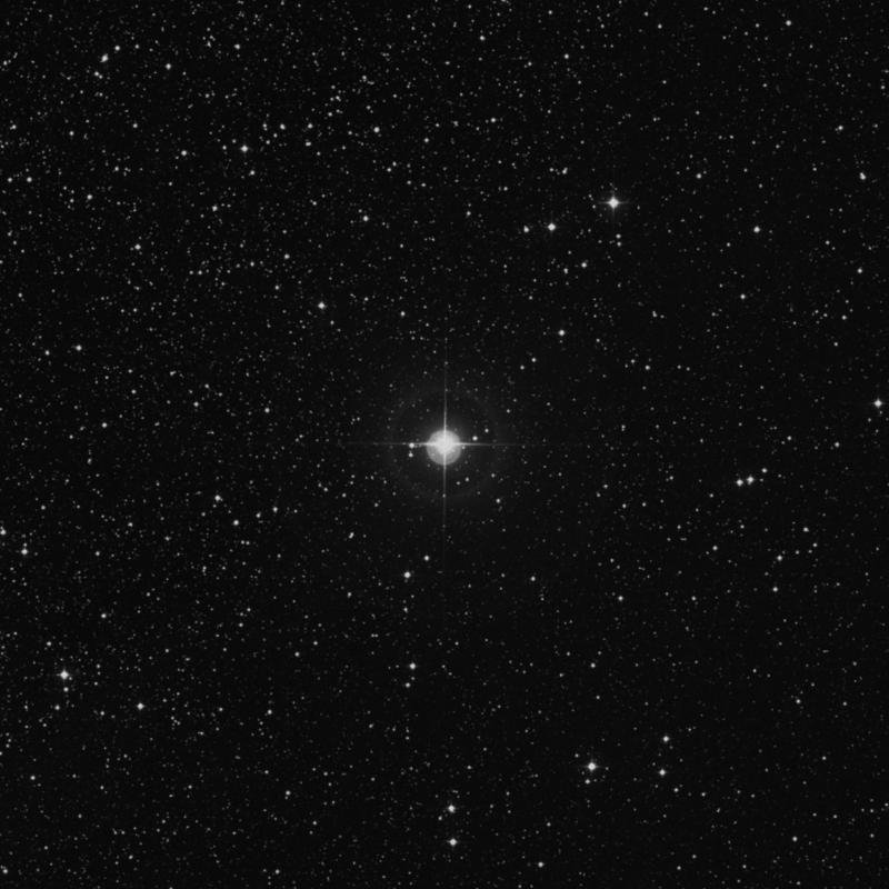 Image of 49 Cygni star