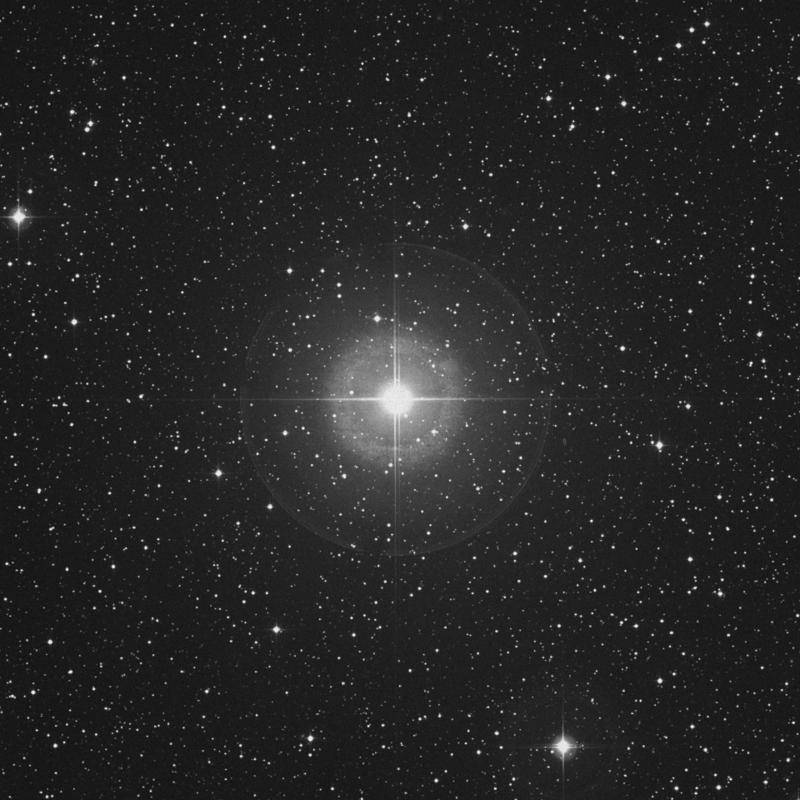 Image of γ1 Delphini (gamma1 Delphini) star