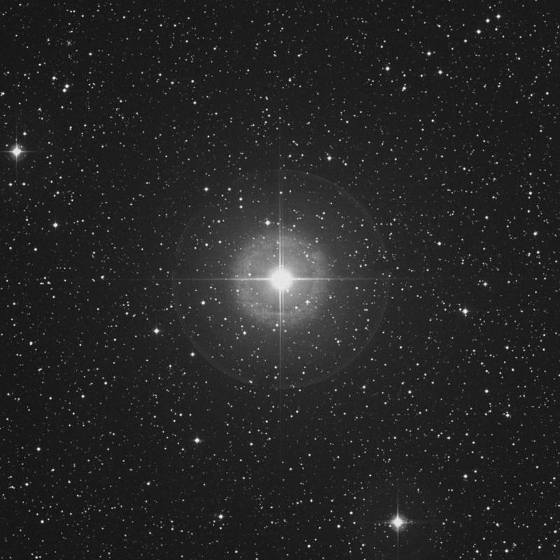 Image of γ2 Delphini (gamma2 Delphini) star