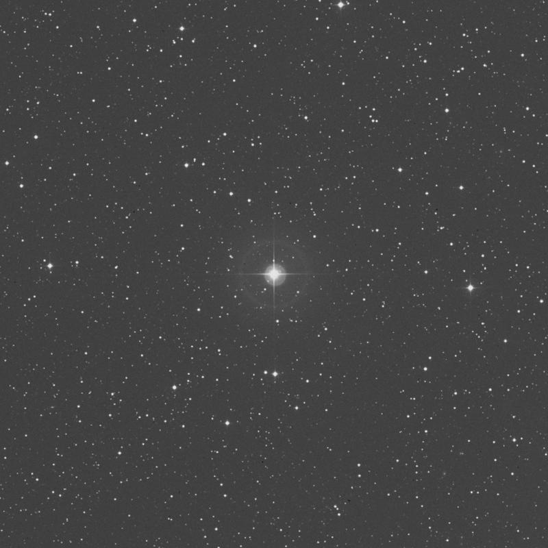 Image of 13 Delphini star