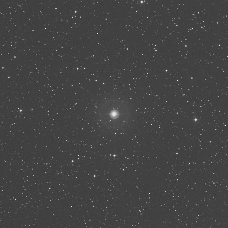 Image of 13 Delphini star