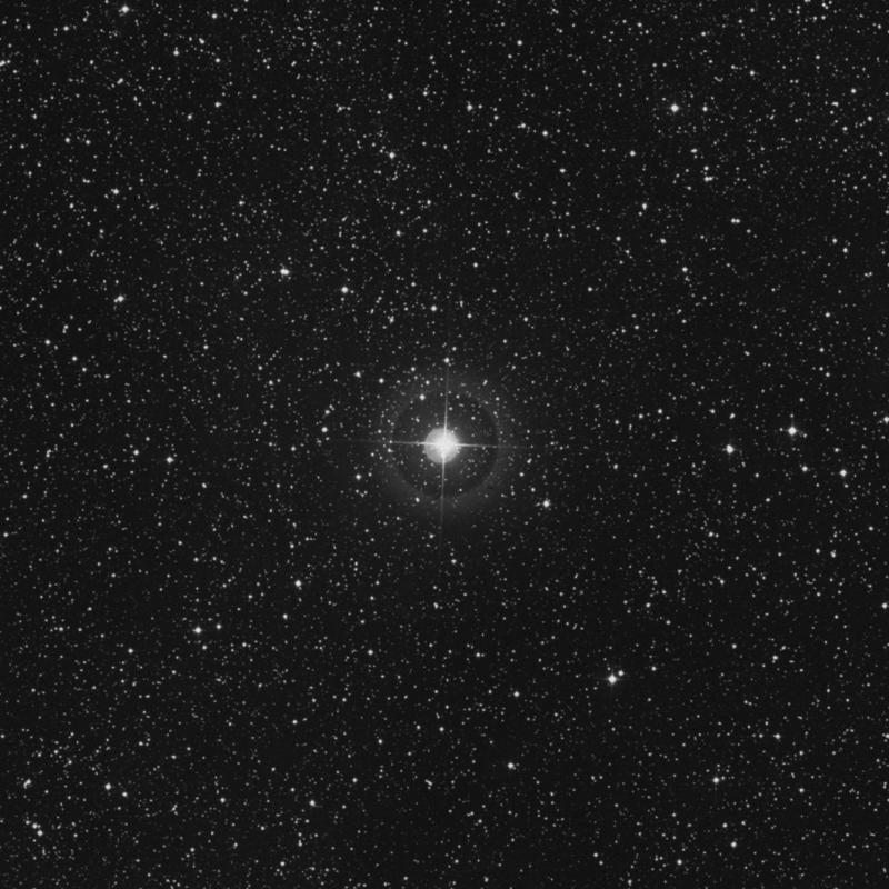 Image of 55 Cygni star
