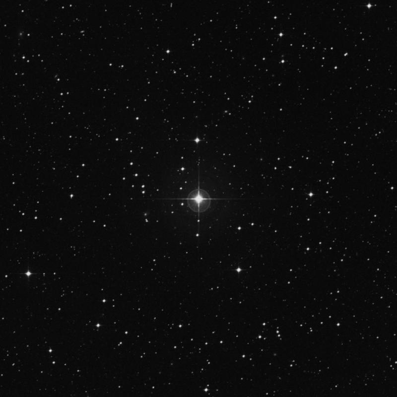 Image of β Microscopii (beta Microscopii) star