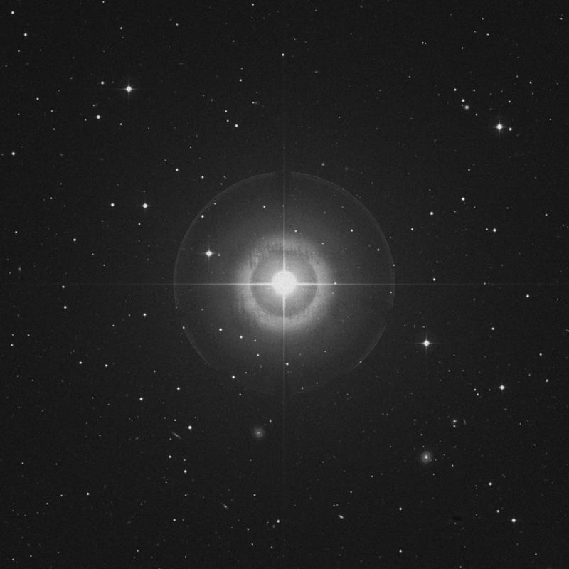 Image of Kaffaljidhma - γ Ceti (gamma Ceti) star