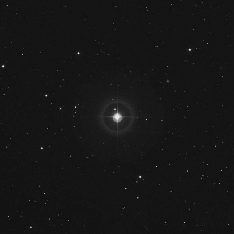 Image of 38 Arietis star