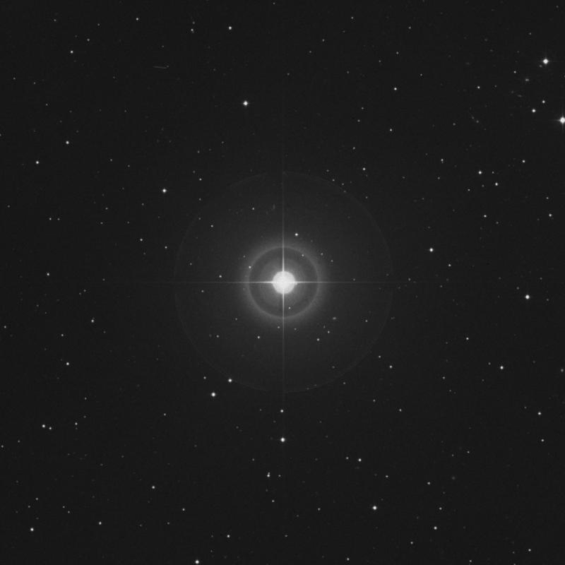 Image of μ Ceti (mu Ceti) star