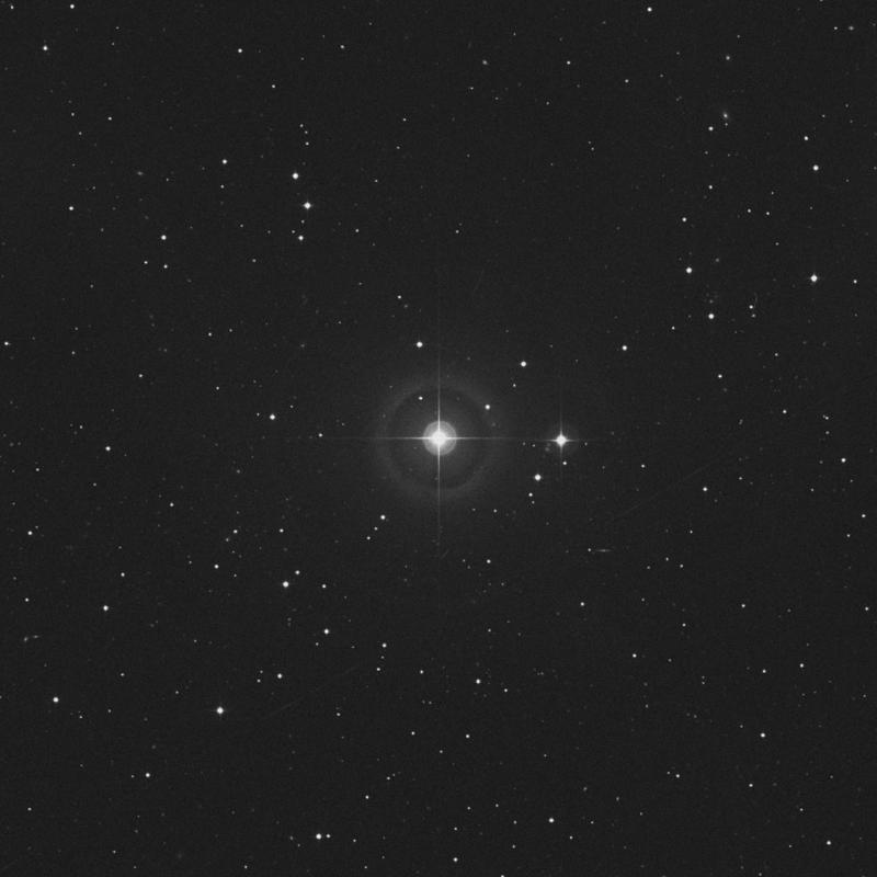 Image of HR816 star
