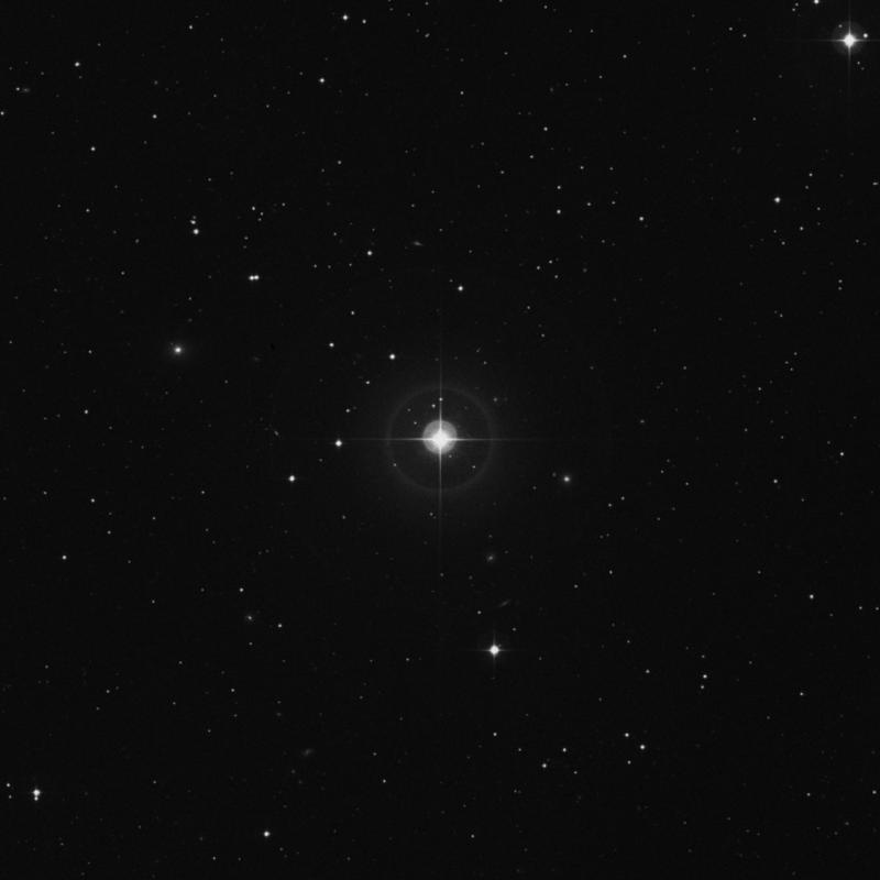 Image of 40 Arietis star