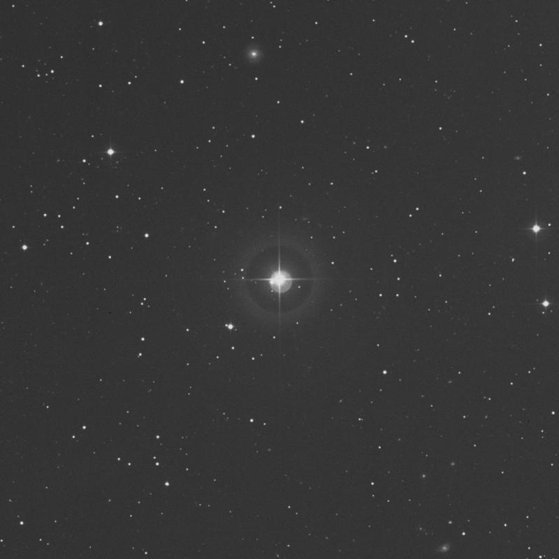 Image of π Arietis (pi Arietis) star