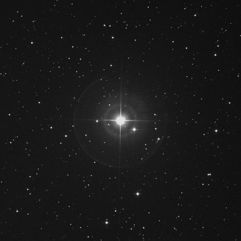 Image of Bharani - 41 Arietis star