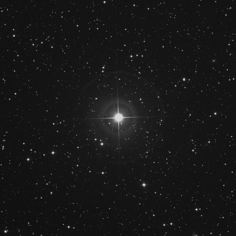 Image of 16 Persei star
