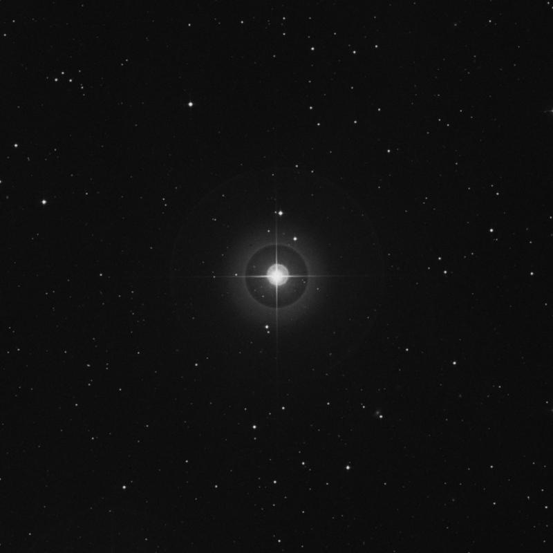 Image of ρ2 Arietis (rho2 Arietis) star