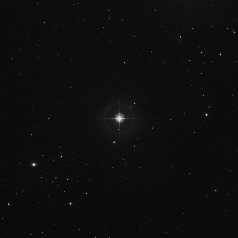 Image of ρ3 Arietis (rho3 Arietis) star