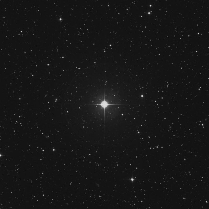 Image of π Persei (pi Persei) star