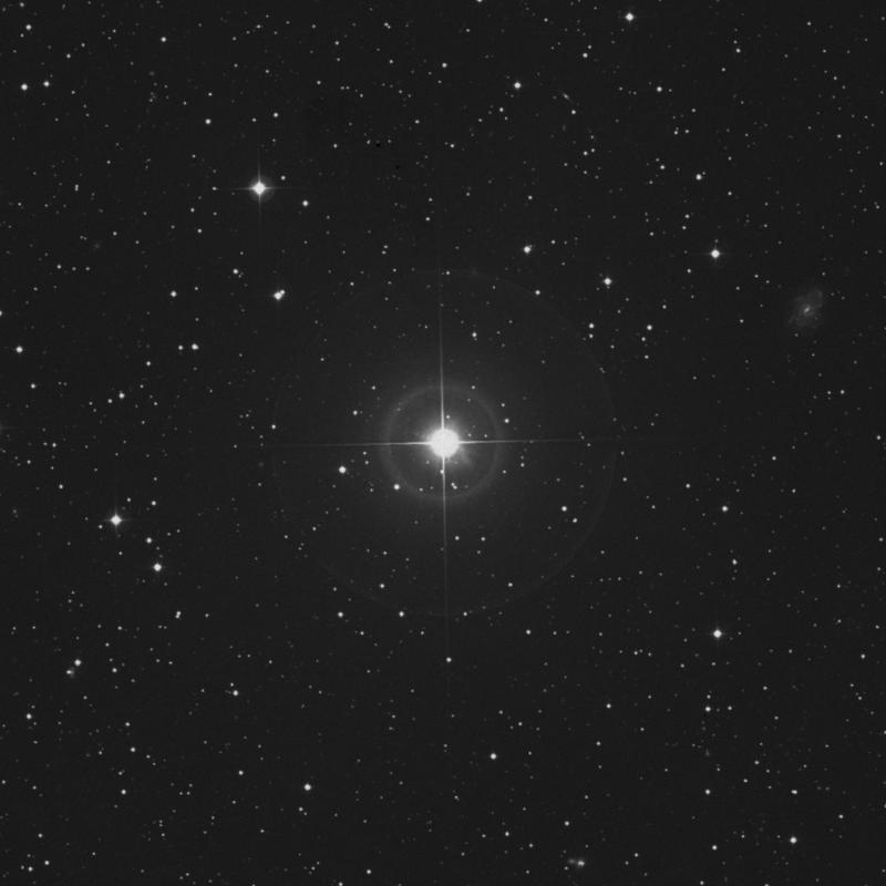 Image of 24 Persei star