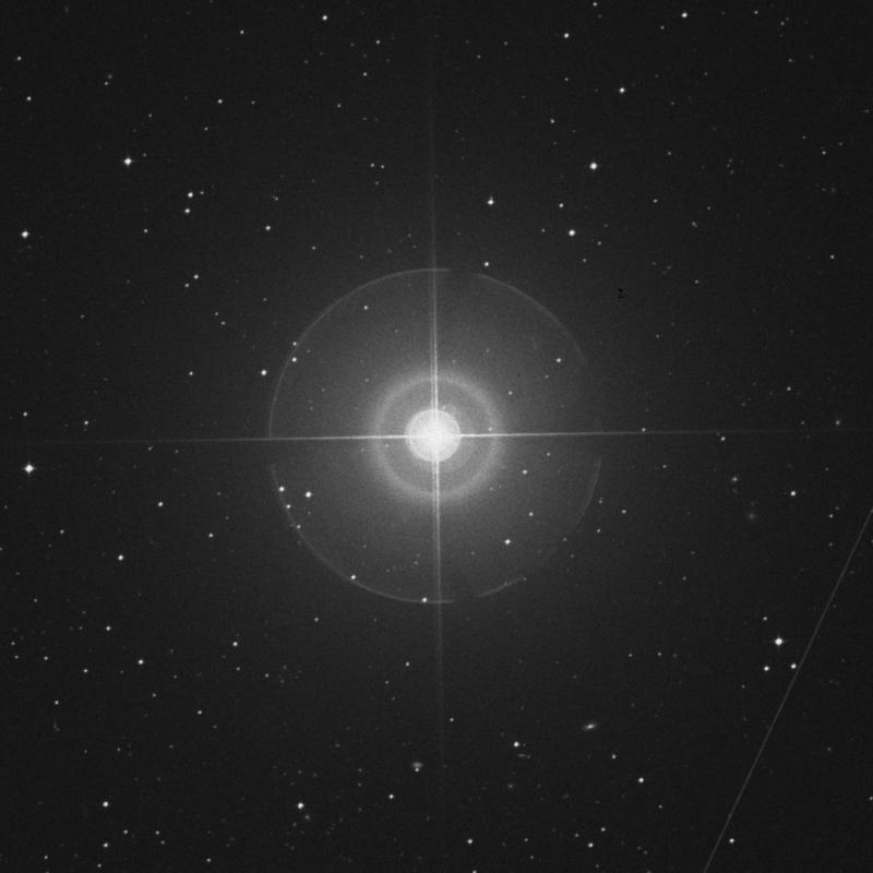 Image of Acamar - θ1 Eridani (theta1 Eridani) star