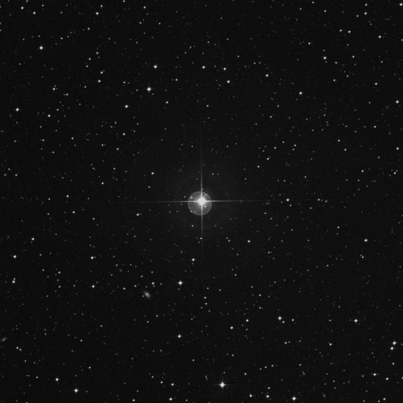 Image of 19 Capricorni star