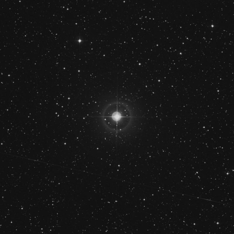 Image of 17 Delphini star