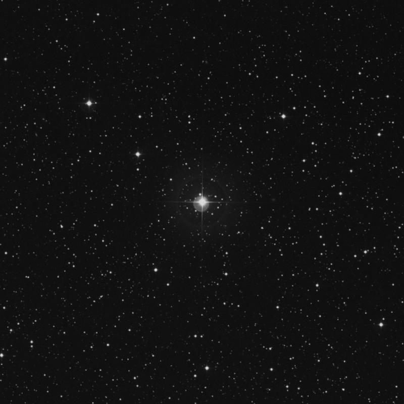 Image of 16 Delphini star