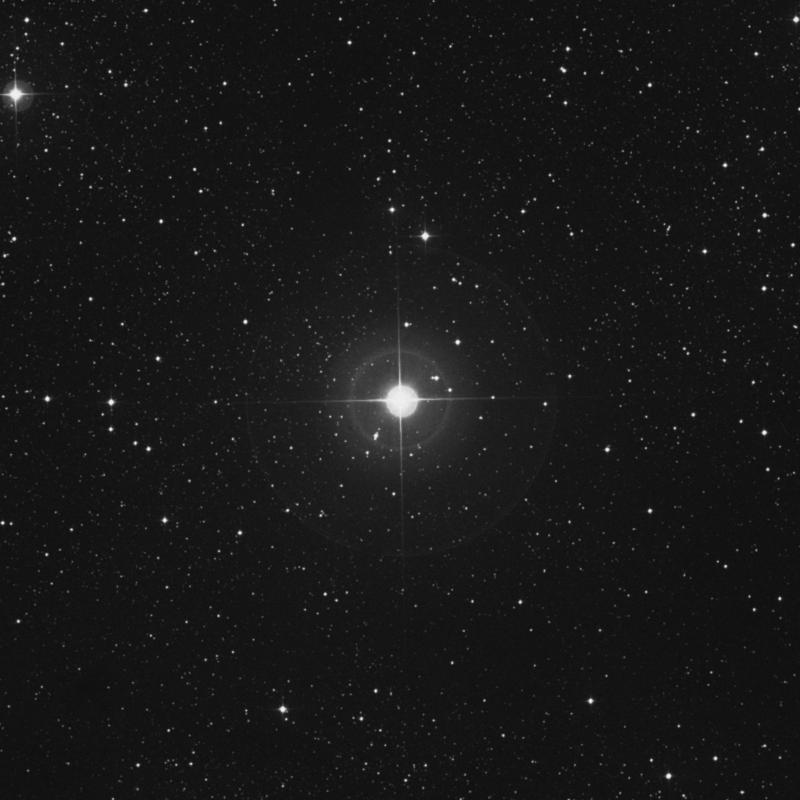 Image of ν Cygni (nu Cygni) star