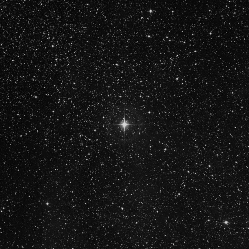 Image of 60 Cygni star