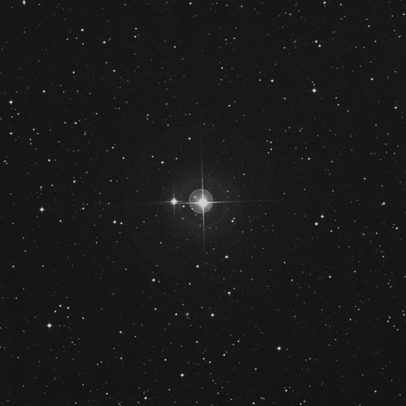 Image of η Microscopii (eta Microscopii) star