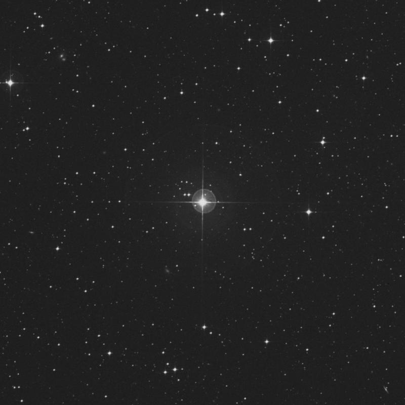 Image of χ Capricorni (chi Capricorni) star