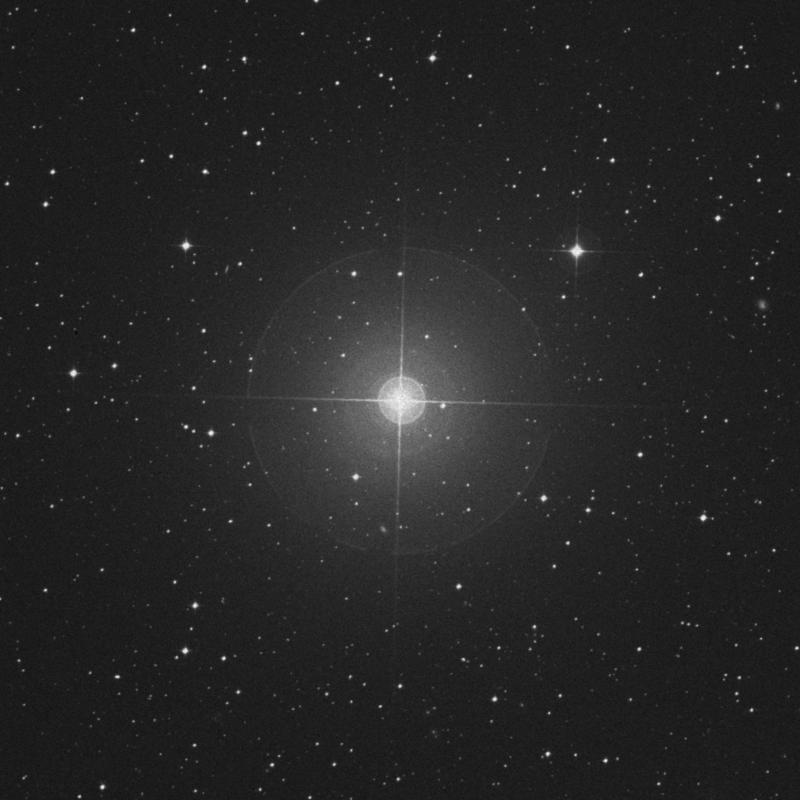 Image of γ Pavonis (gamma Pavonis) star