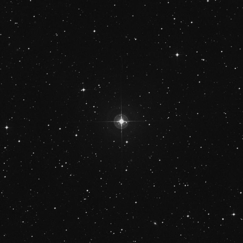 Image of γ Indi (gamma Indi) star