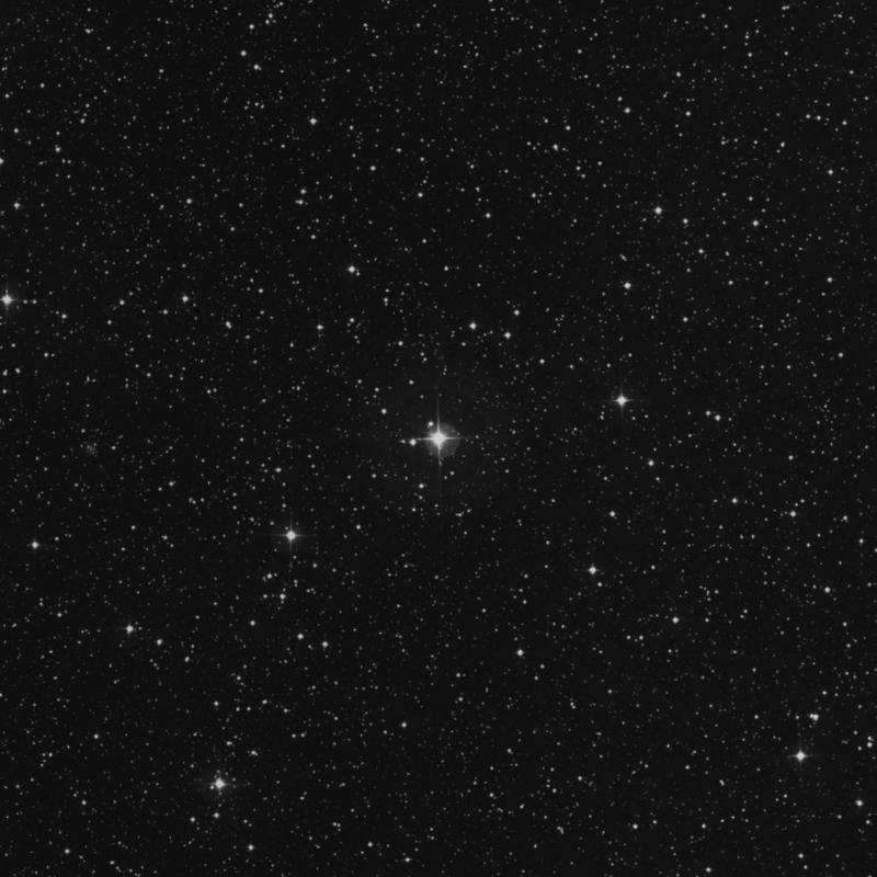 Image of 69 Cygni star