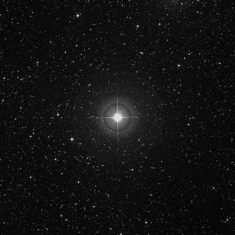 Image of ρ Cygni (rho Cygni) star